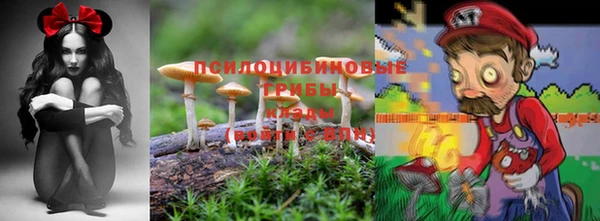 марки lsd Нязепетровск