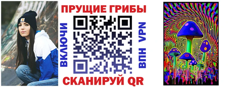Псилоцибиновые грибы Psilocybine cubensis  как найти   Правдинск 